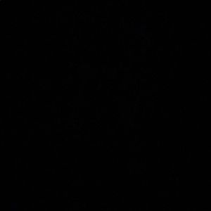 Meet your Posher, Carly